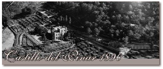 Castillo del Pinar Perin Murcia